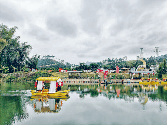 容县石寨镇:老区绽放文明之花_文轩_白花_组织