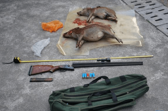 定南男子非法捕猎9只野生动物价值4.3万元_保护_定南县_规定