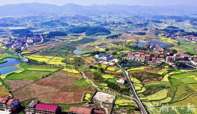 武穴四望镇:培育新青年 让新农人在乡村振兴中激荡青春_新农村_发展