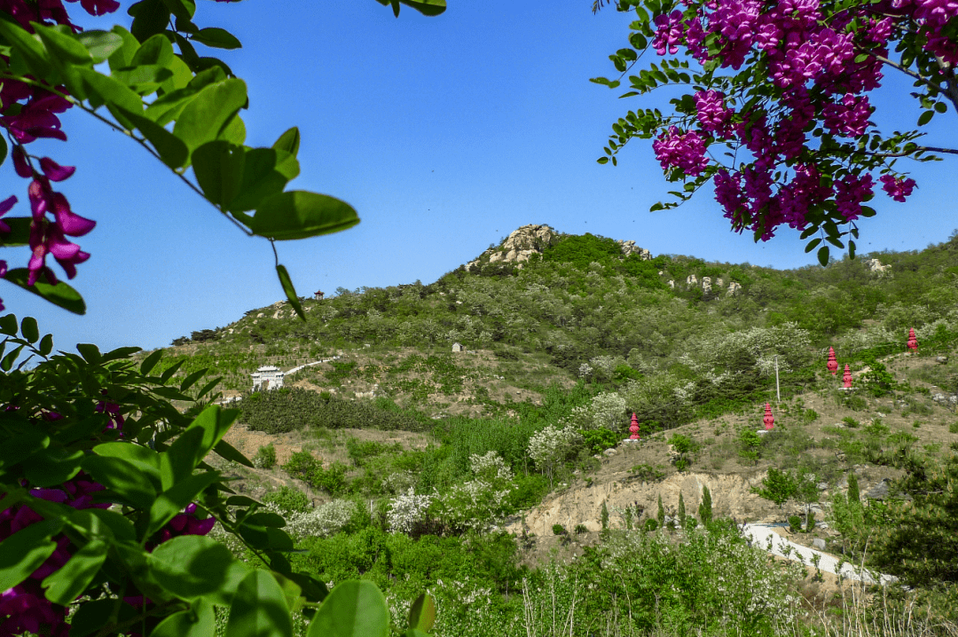 "安丘天路"打卡:一路风光美出天际_乡村旅游_发展_辉渠