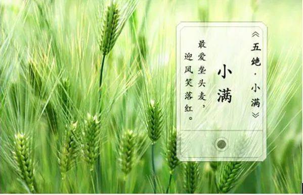 小满节气的古诗俗语和谚语 小满农谚诗句（小满节气的诗词和谚语）