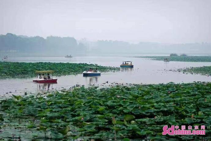 章丘白雲湖:奔跑在高質量發展的賽道上_街道_建設_生態