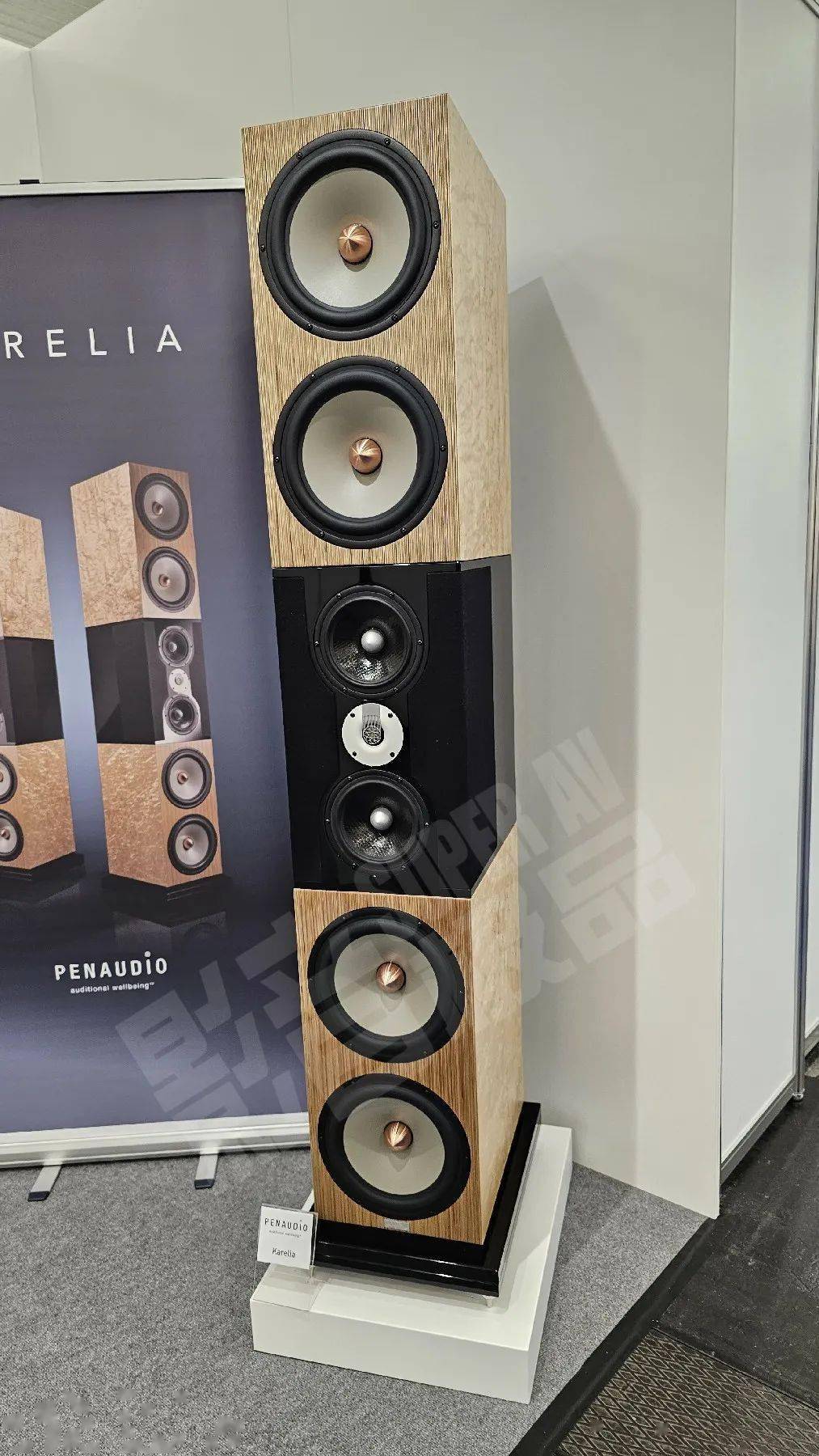 德国慕尼黑高级音响展 2023(四)_音箱_放大器_horizon