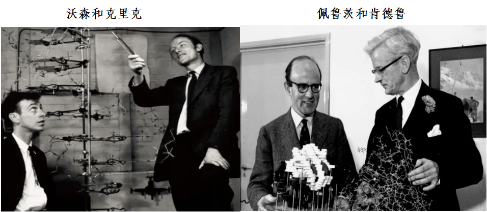 组学这第二次革命,那么奠定这两次生命科学基础分别是1953年沃森和