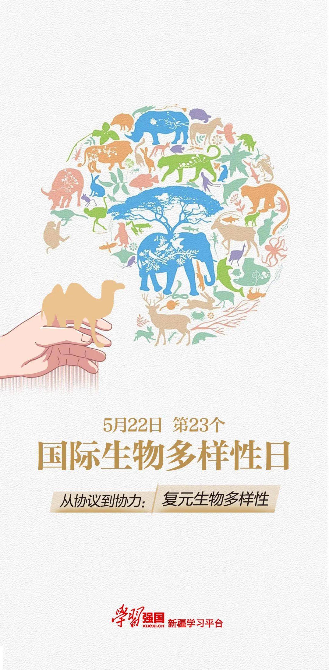 海报丨国际生物多样性日_冯方圆_校对_刘明月