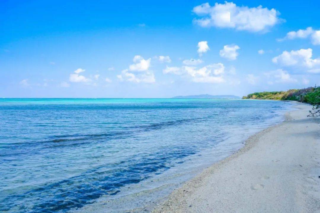 朗诵吧|《湛蓝的底色》作者:涂映雪,朗诵:蓝松祥【1878期】_福建省