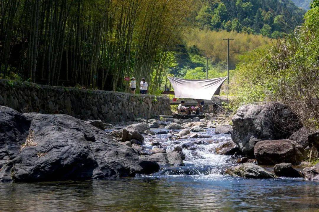 网红上河村,夏明村汽车露营基地,湃桥村亲子乐园……快来打卡诗路旅游