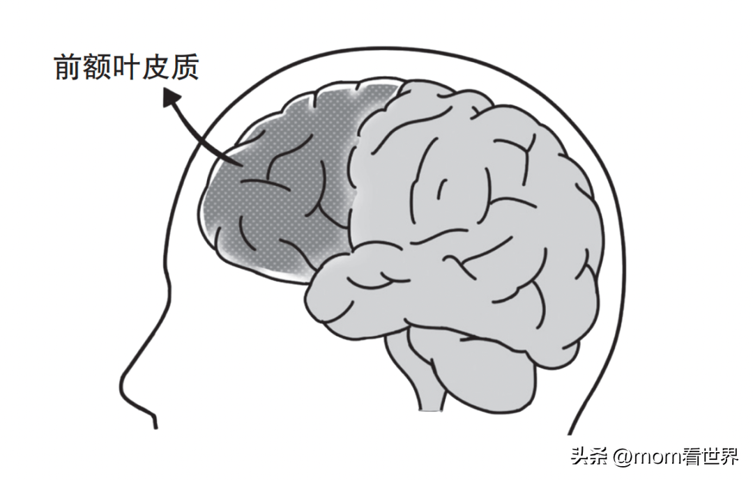 在我們的大腦中,有一個