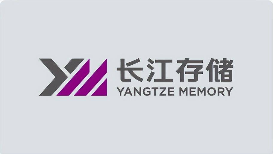 天之骄子,国之柱石!国产固态硬盘怎么选?万字长文掰开讲清楚!