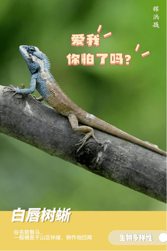 来陇川,感受生物多样性之美_表情_曹园_余雪楠