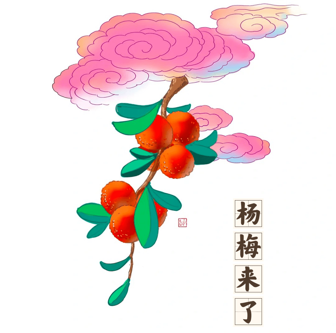 快来get石屏杨梅的"宝藏"吃法
