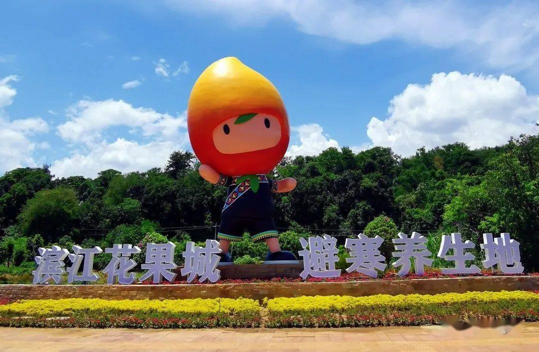2023年元江芒果节敲定,正在紧锣密鼓筹备中_活动_文化_工作