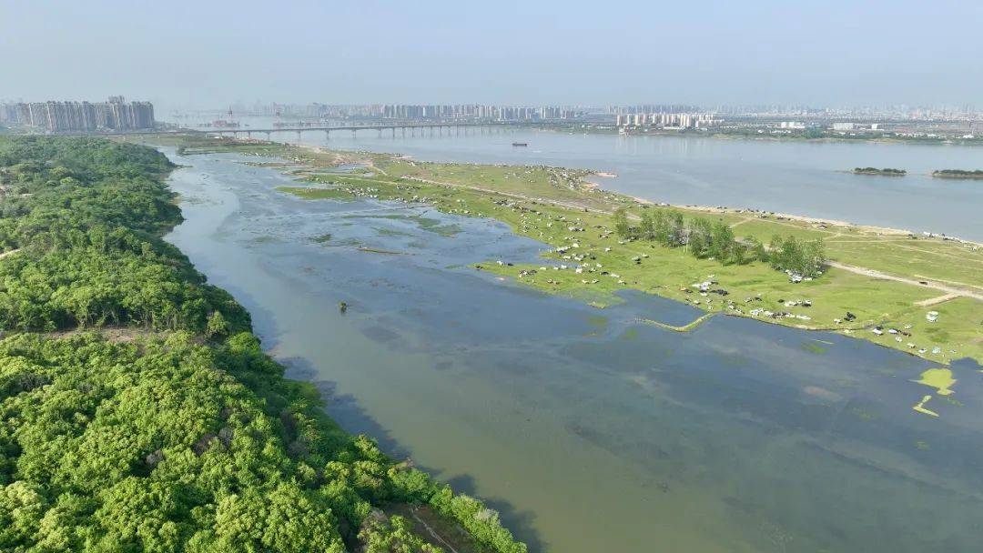 马咀山生态公园在建设幸福河湖方面,我市全面启动赣江,乌沙河,雄溪河