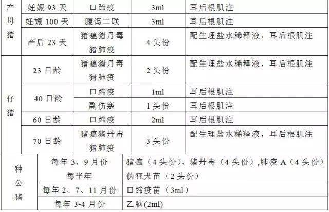 【技术】几个猪场的免疫程序表(仅供参考)_头份_资料_猪瘟