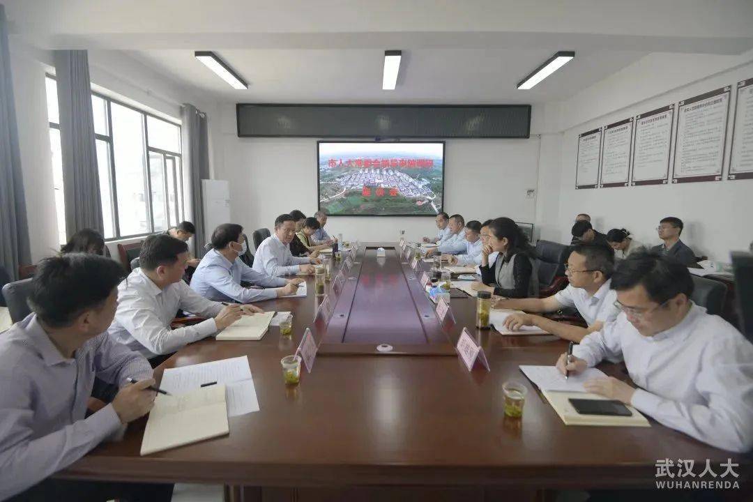 市人大常委会党组副书记,副主任龙良文赴黄陂区调研_罗汉寺街道_乡村