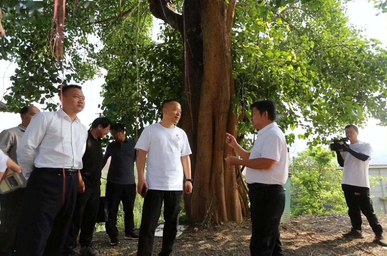 永德县人民政府县长彭春蕊和副县长王红专与长江商报董事长姚海鹰交流