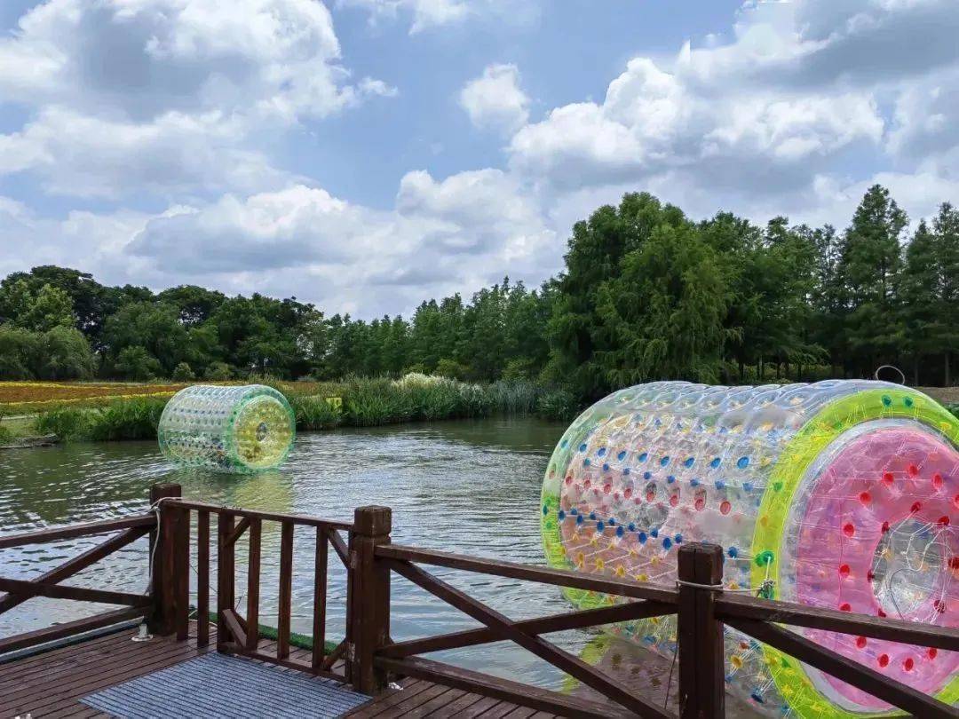 9元享周浦花海景区大门票【早鸟票】,39.