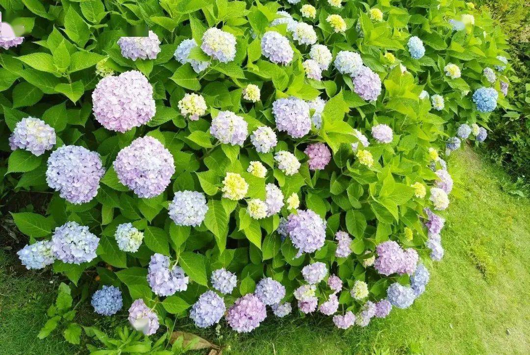 9元享周浦花海景区大门票【早鸟票】,39.