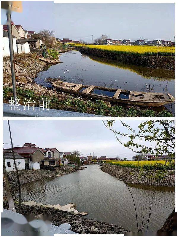 【人居环境整治】三垛镇港河村:人居环境整治从"新"出发_农村_河道