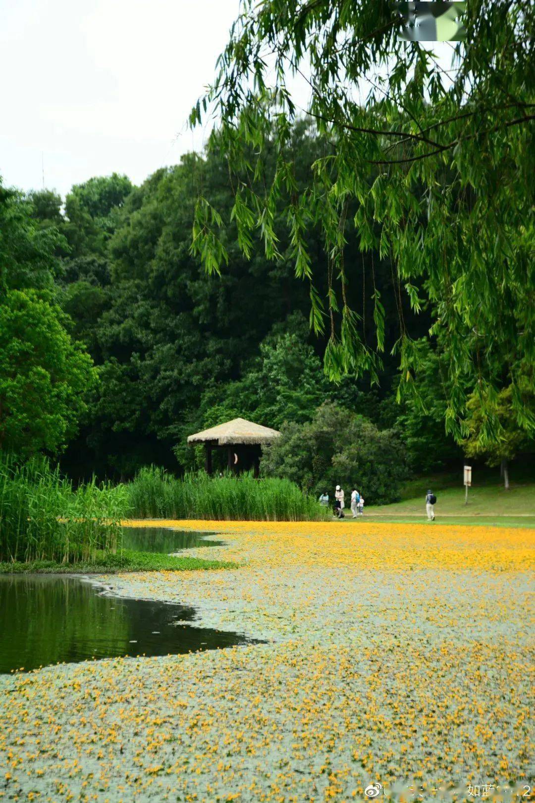 南京琵琶湖风景区门票图片