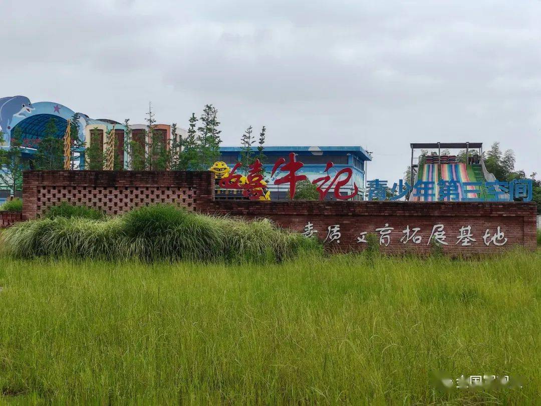 走进巴夫洛_风景区_景点_水牛