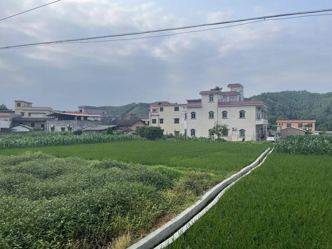 聚焦"百千万"工程 | 迳头镇:基层治理有"妙方"!_工作_服务_群众