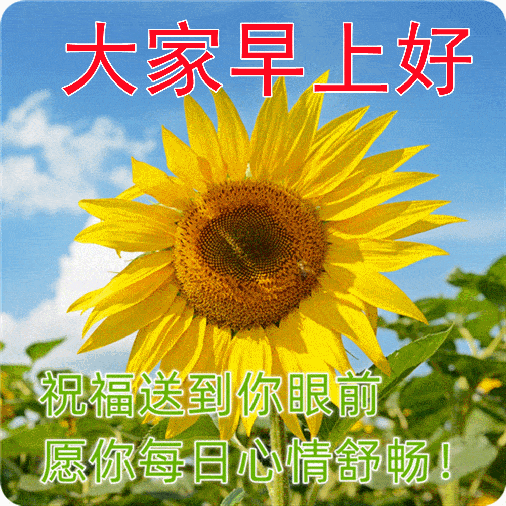 今日最新早上好表情包图片大全,新的一天,吉祥平安!_人生_朋友_包含了