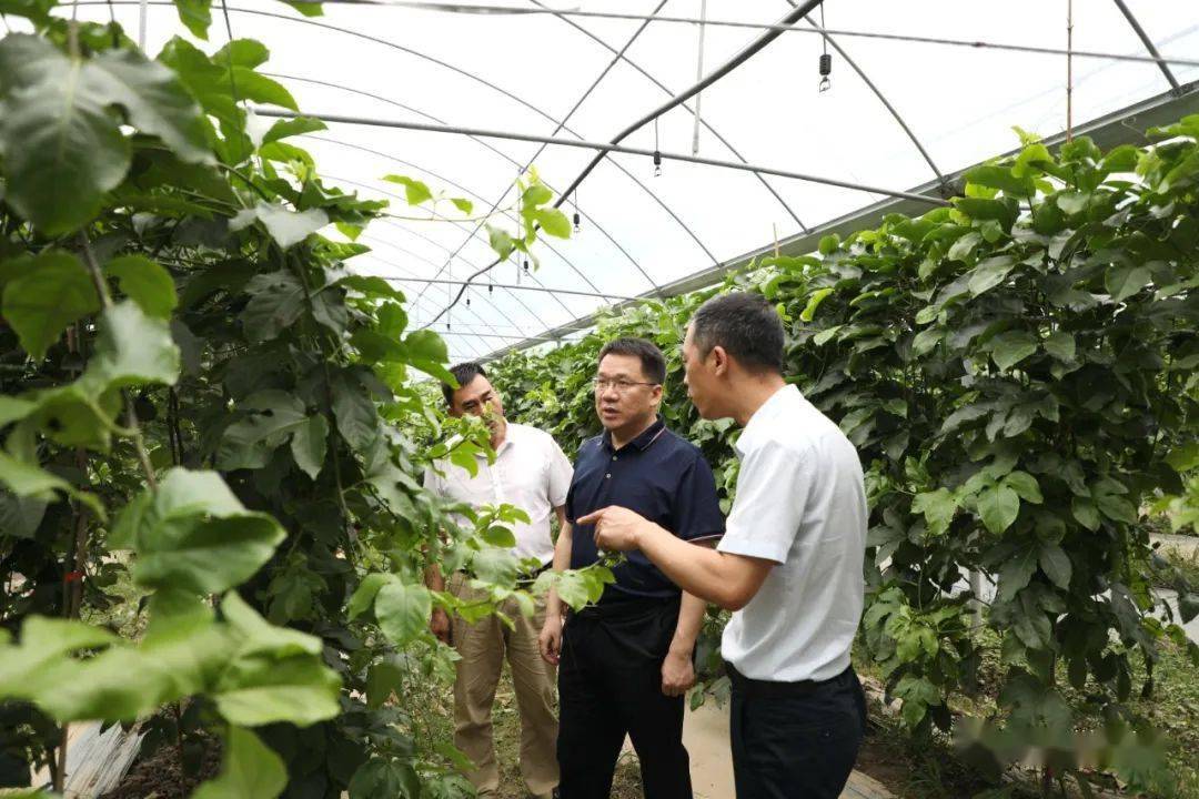 全南县边建忠图片