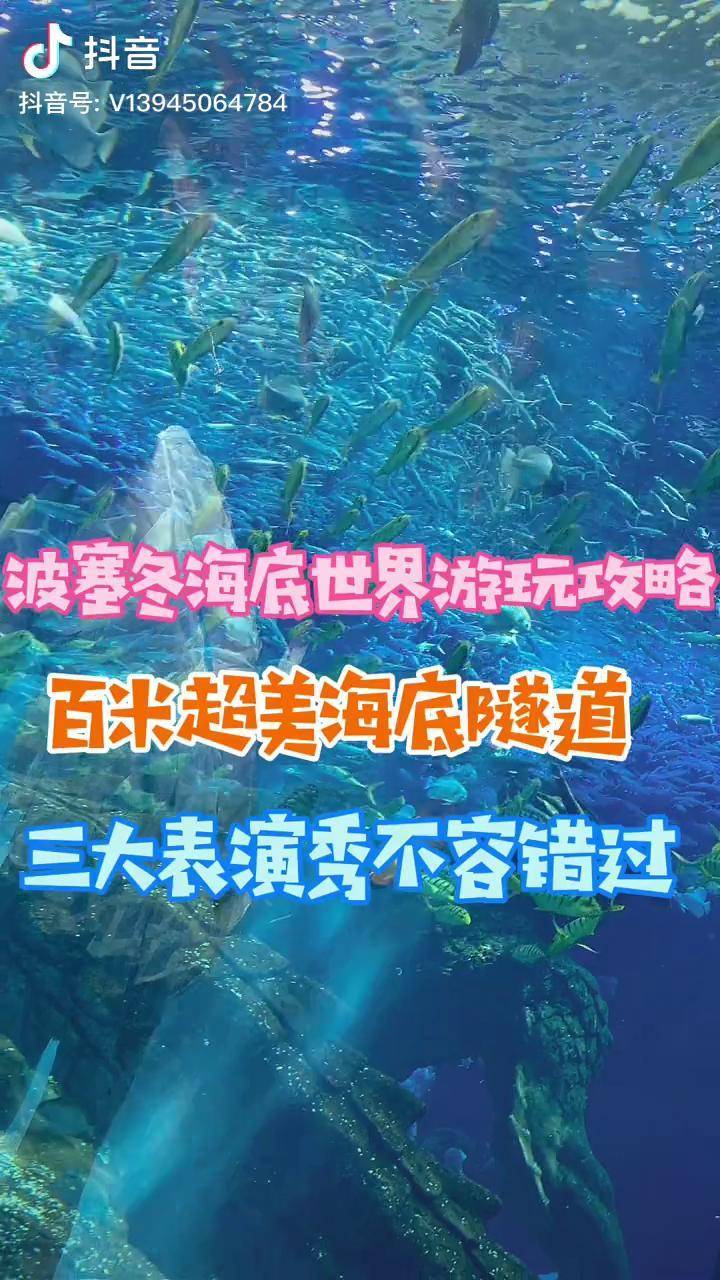 旅行推荐官 哈尔滨吃喝玩乐攻略 秀出你的万里世界波 海底世界