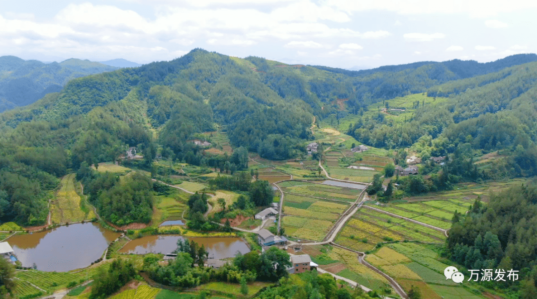 在万源市沙滩镇鸳鸯池村村民胡达勇的百亩果园里,国网万源市供电公司