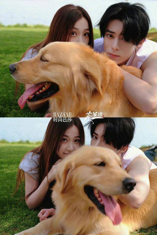 《苍兰诀》大爆后,荧幕情侣王鹤棣虞书欣却失去"再续前缘"机会_合作