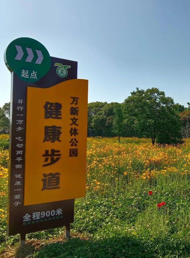 万新文体公园是在司徒镇杏虎村万新农庄的基础上利用现有资源,增添了