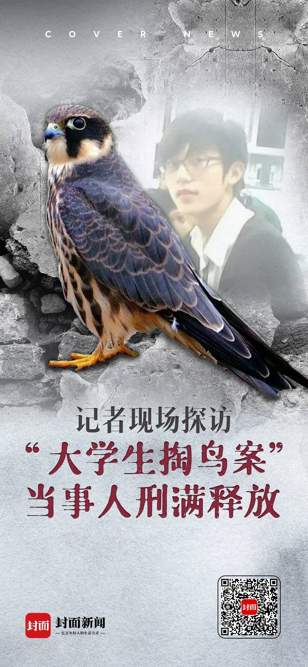 海报|记者现场探访"大学生掏鸟案"当事人刑满释放_保护_封面_动物