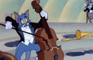 吹拉弹唱样样精通,一只猫顶得上一个乐团:能做指挥:擅长钢琴:"学历"