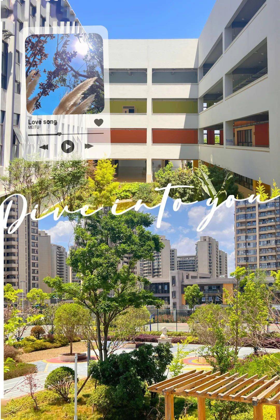 伴随着清晨温暖的阳光,云南民族大学附属小学斗南校区的莘莘学子们