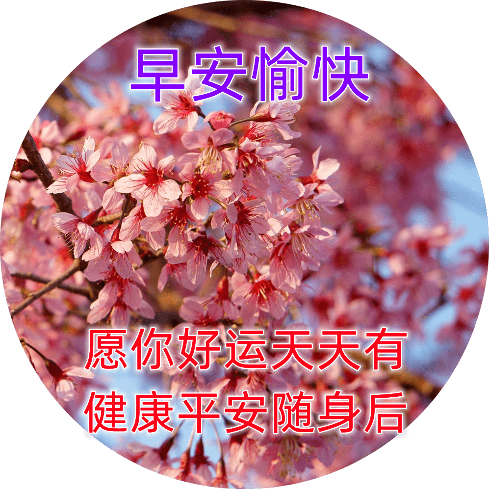 今日最新早上好表情图片大全,祝福问候,开心每天,一生平安_生活_朋友