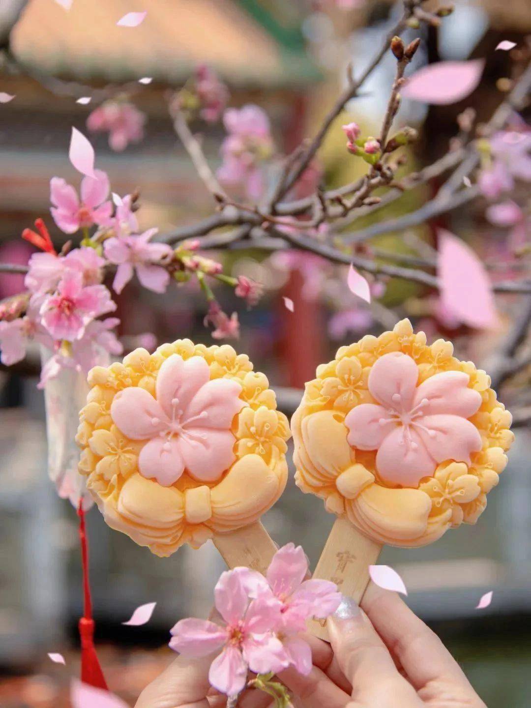 雪糕_墨园_樱花