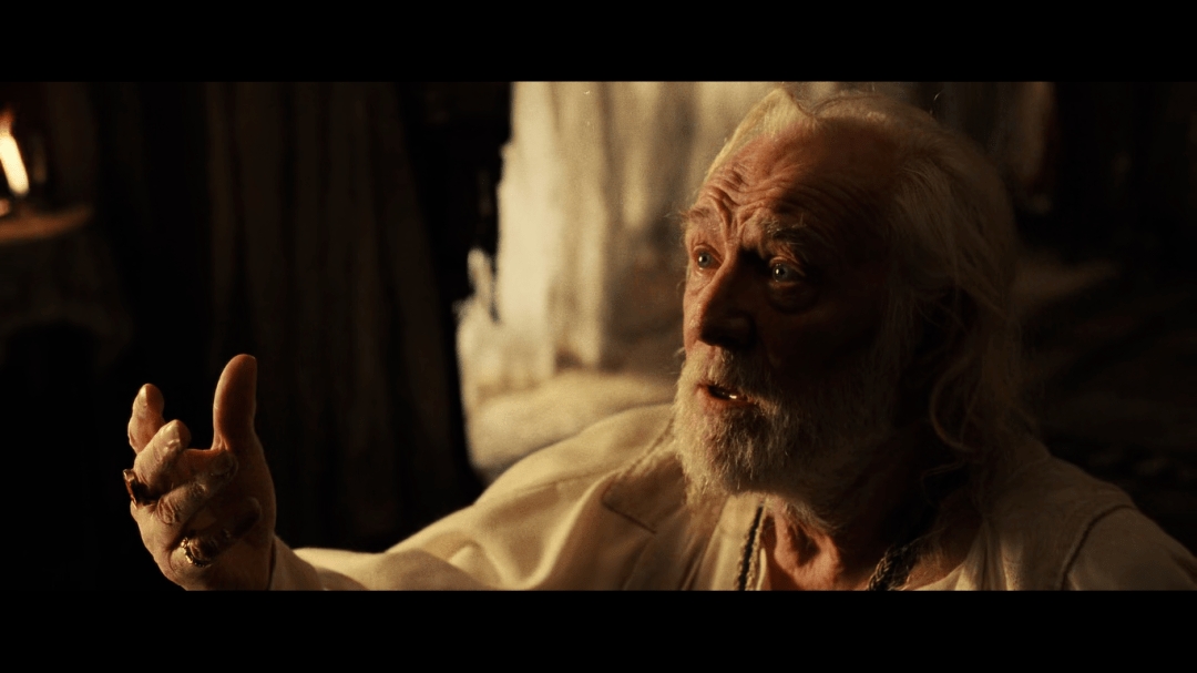 活在此刻,犹如最后一次也是初次看到世界一样去观察_皮埃尔·阿多