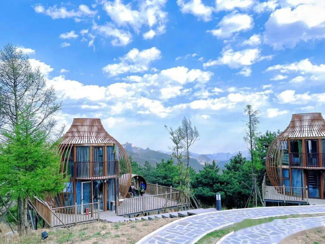 京西山巅 星海畅游——蒲洼东村首届生态文化节开幕!