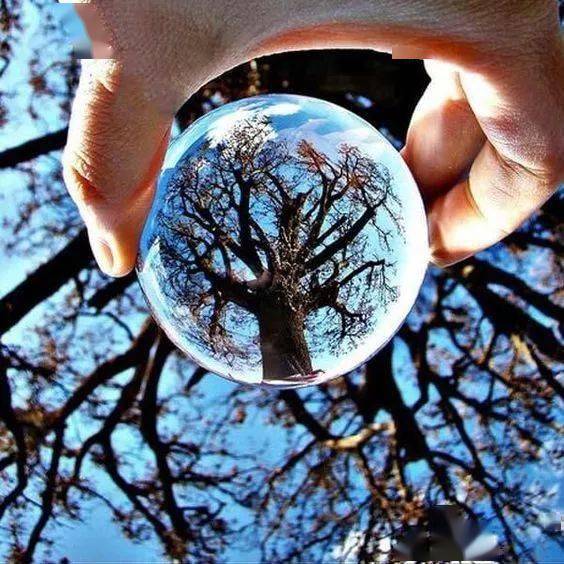 娇艳欲滴!绝美透明_世界_好运_玻璃