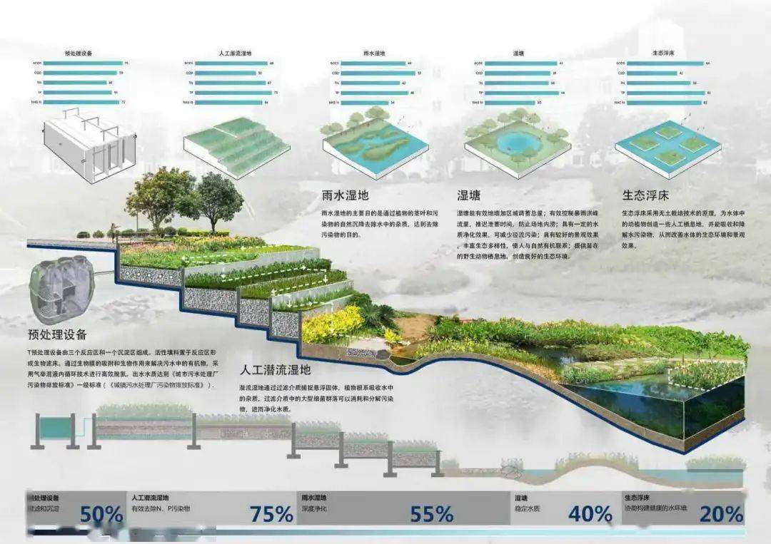奥雅做的"雨水生态"景观设计,上了热搜!_花园_绿地_植物