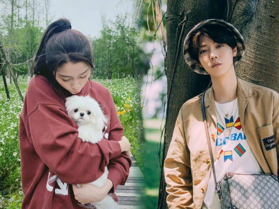 这五个爱豆塌房啦!而鹿晗和关晓彤……_能力_官宣_梦想