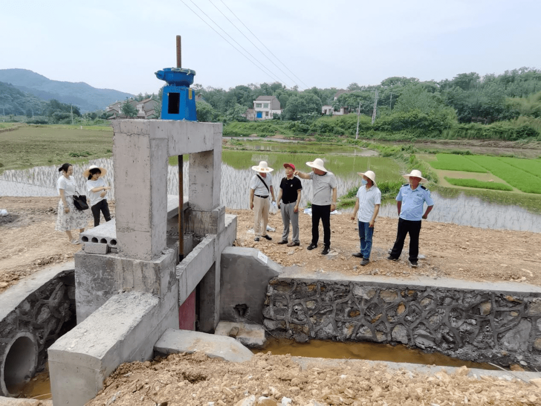 京山市三阳镇人大丨聚力共同缔造 开展代表行动_发展_社区_产业