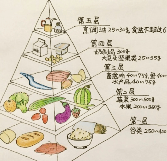 年级成长课程 中国学生营养日