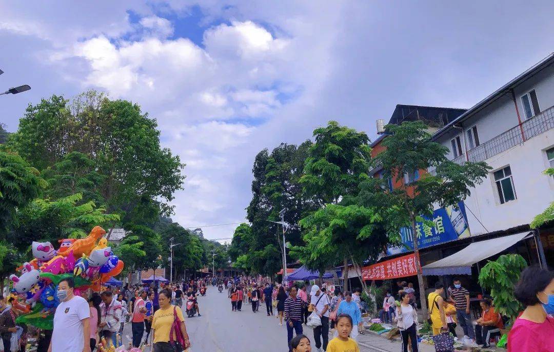 基诺山乡:绘就乡村振兴新画卷 奏响幸福生活新乐章