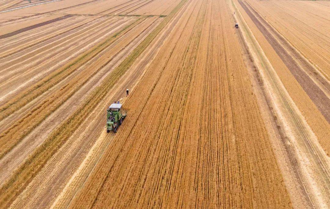 东海县局推进土地整治 助力建设高效农田18万亩