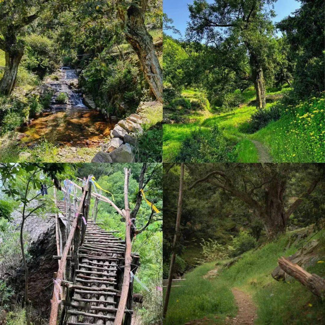 4 本周·单日合辑(两人同行第二人免!)_古道_浙江_桐庐