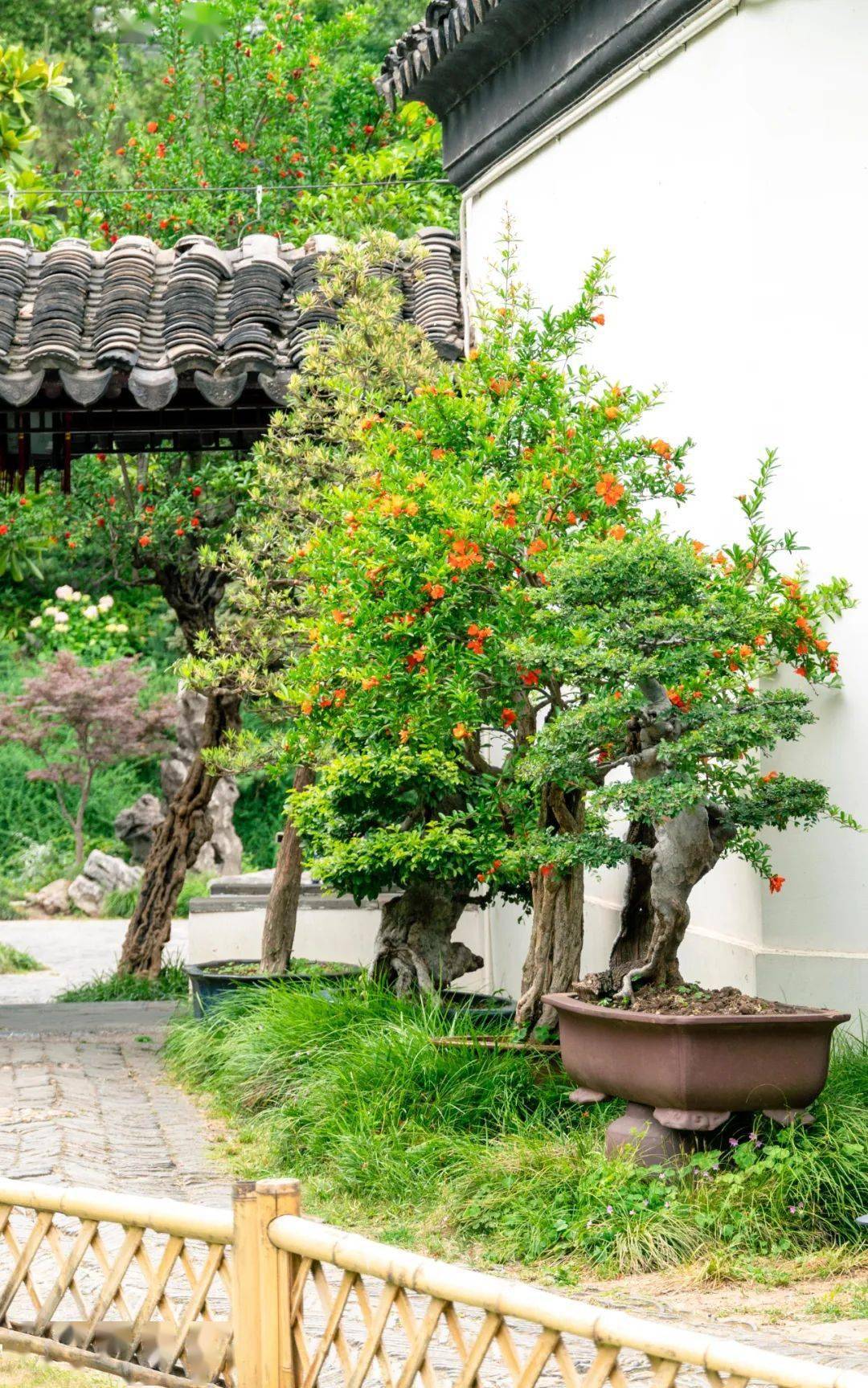 tips门票 | 30元地址 | 秦淮区瞻园路128号04愚园恰如欧阳修写的"五月