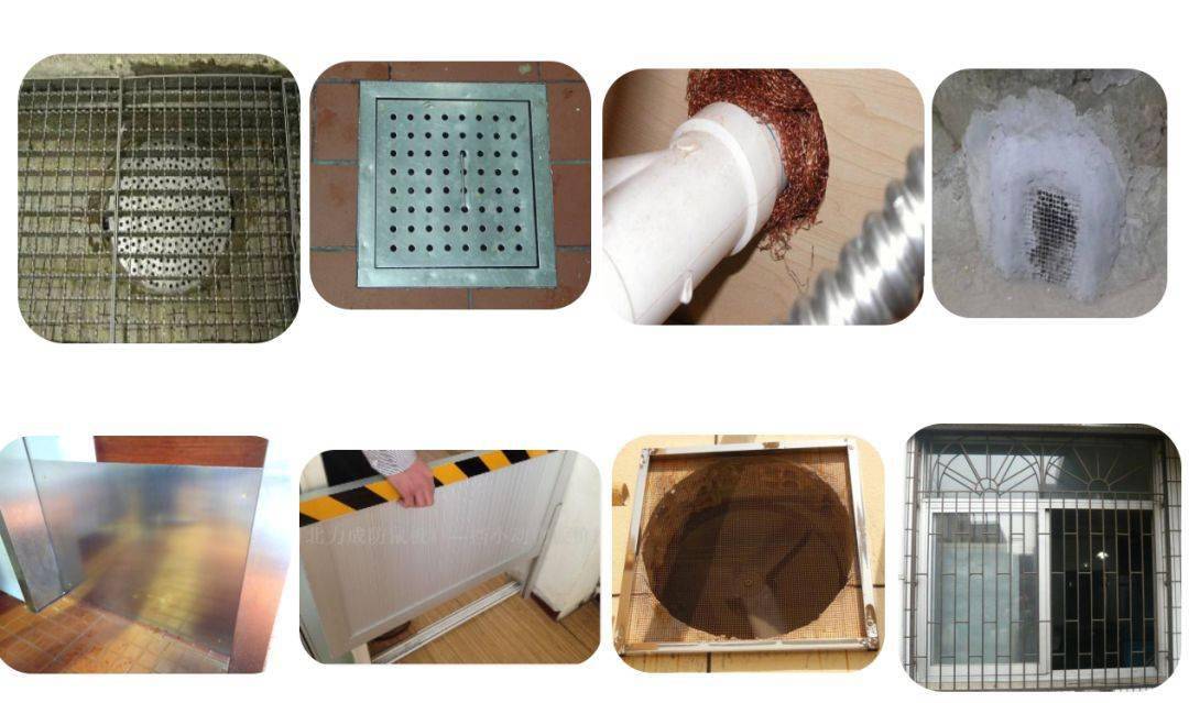 【病媒生物防制】"除四害"要到达这样的标准!大家行动起来吧!