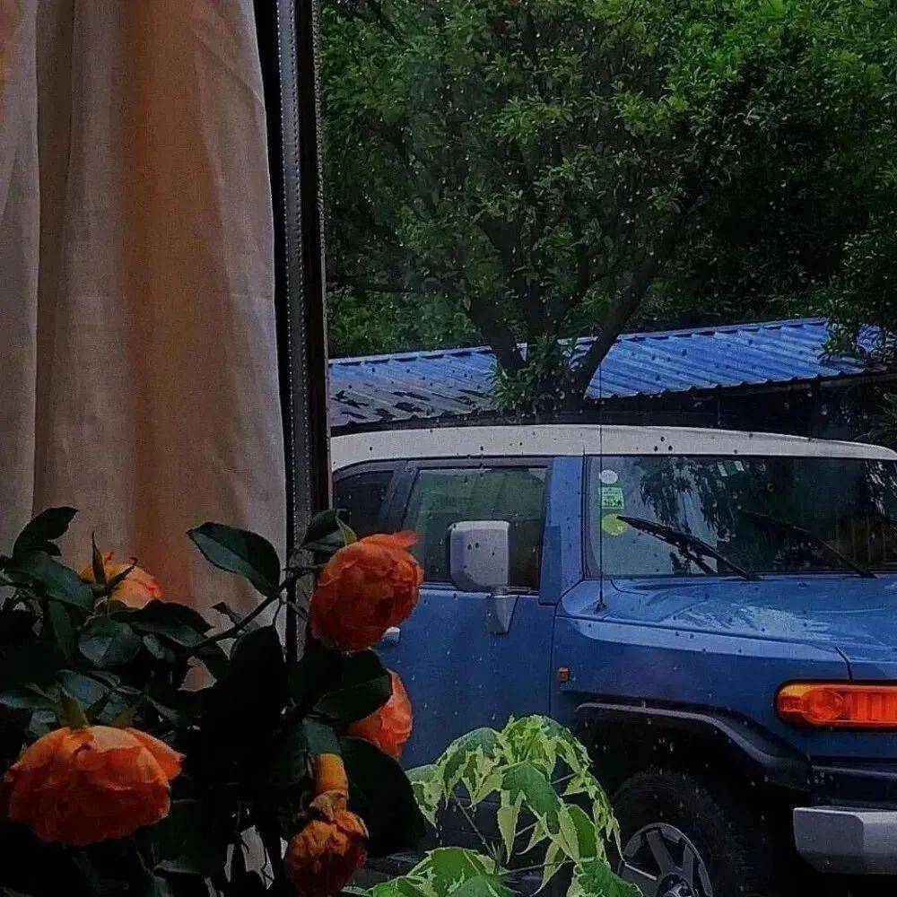 头像背景 丨碎银几两 岁岁奔波_侵权_先生_网络